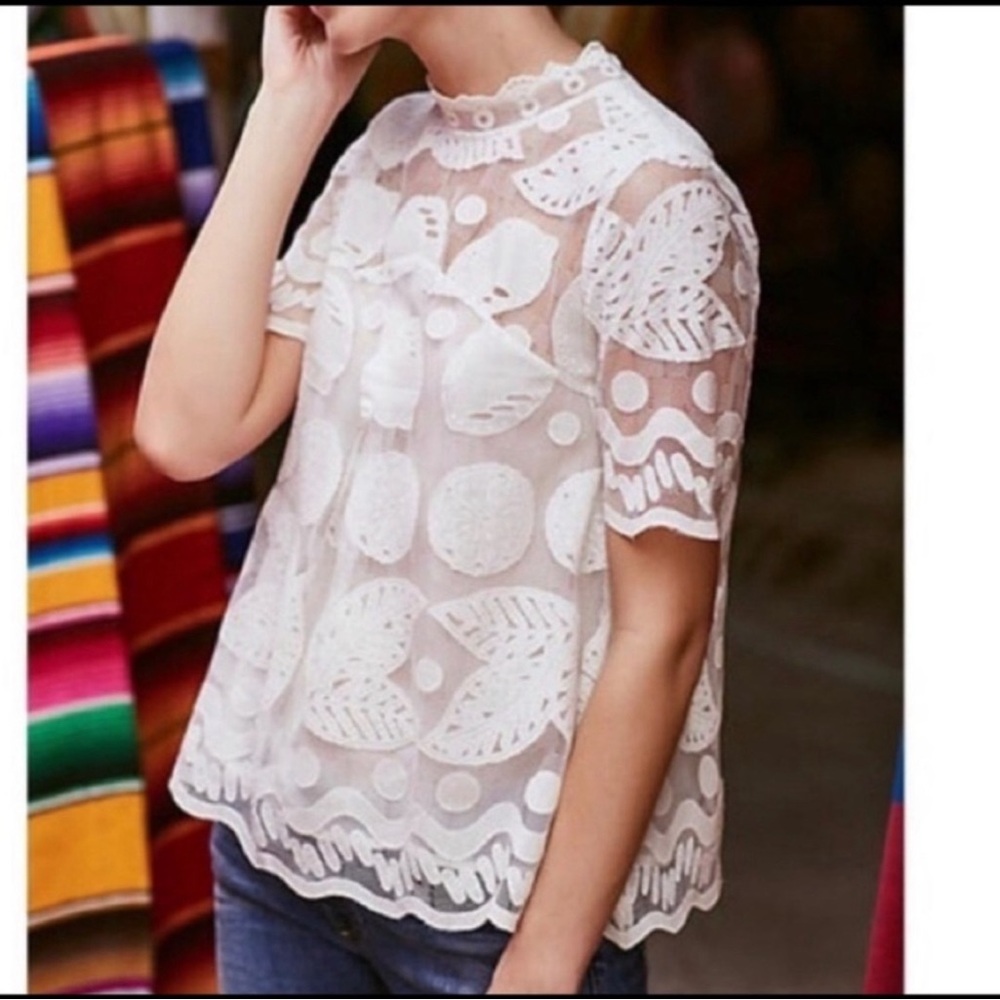 HD in Paris Lemon Lilly Lace Top, size 14